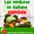 las verduras en italiano
